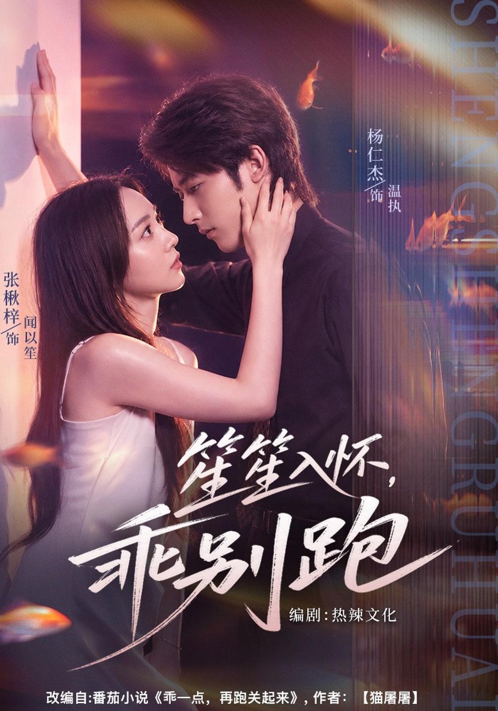 笙笙入怀，乖别跑(全集)